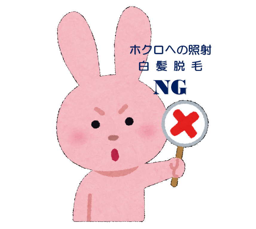 ×ウサギ2